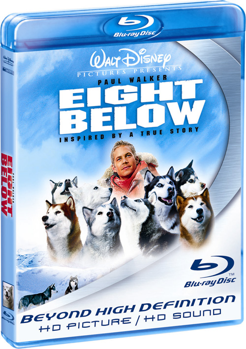 Blu-ray /   / Eight Below