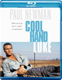 Blu-ray /   / Cool Hand Luke