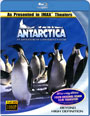 Blu-ray / Антарктика: Путешествие в неизвестную природу / IMAX: Antarctica - An Adventure of a Different Nature